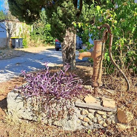 Maison De Avec Piscine Et Jardin * Bompas (Pyrenees-Orientales)