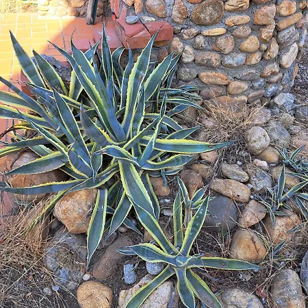Maison De Avec Piscine Et Jardin Дом отдыха Bompas (Pyrenees-Orientales)