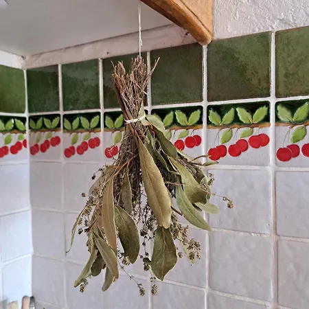 Maison De Avec Piscine Et Jardin Feriehus Bompas (Pyrenees-Orientales)