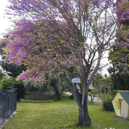 Maison De Avec Piscine Et Jardin 別荘