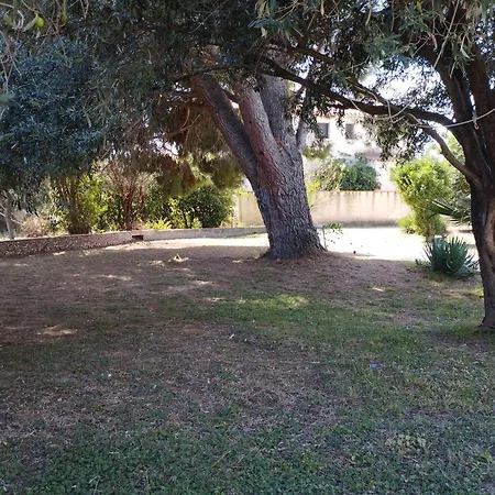 Maison De Avec Piscine Et Jardin ボンパ